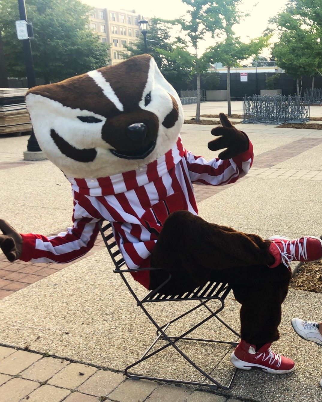 Person in a UW Badger mascot costume wearing a red-and-white striped shirt and red shoes, sitting on a metal chair outdoors with trees and buildings in the background, ready to cheer on the football team.