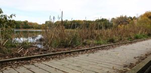 a wooden walkway next to a body of water
