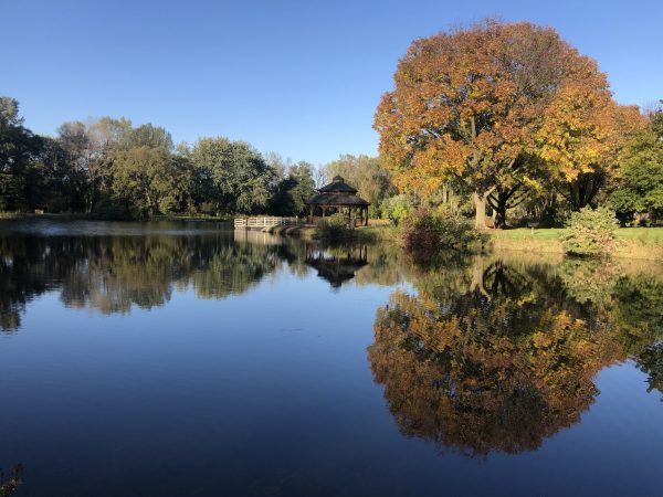 A serene lake with a gazebo and bridge on the far shore, surrounded by trees with autumn foliage. The clear sky and vibrant colors are reflected in the calm water.