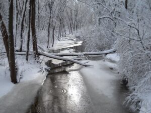 a stream running through a snow covered forest