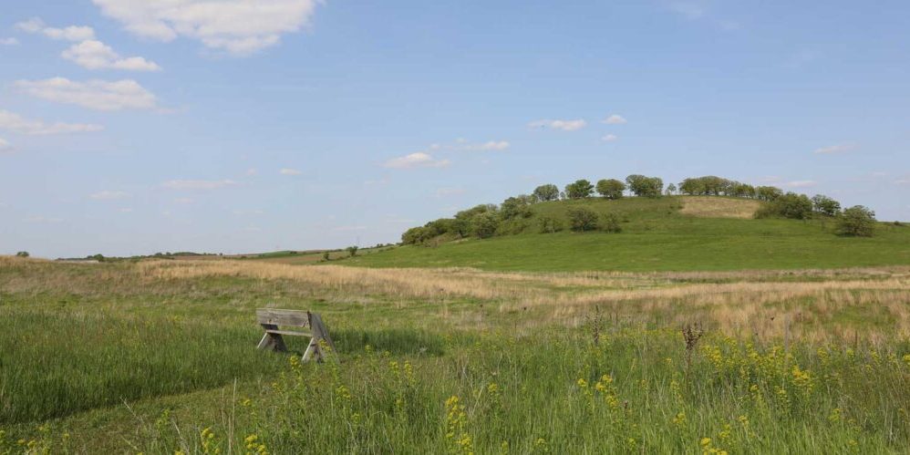 a bench sitting in the middle of a field