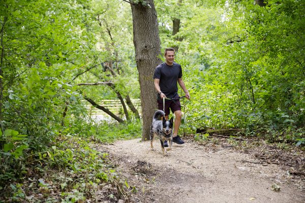 A man walks a dog on a dirt trail in a lush, green forested area, reminiscent of the beautiful Middleton dog parks.