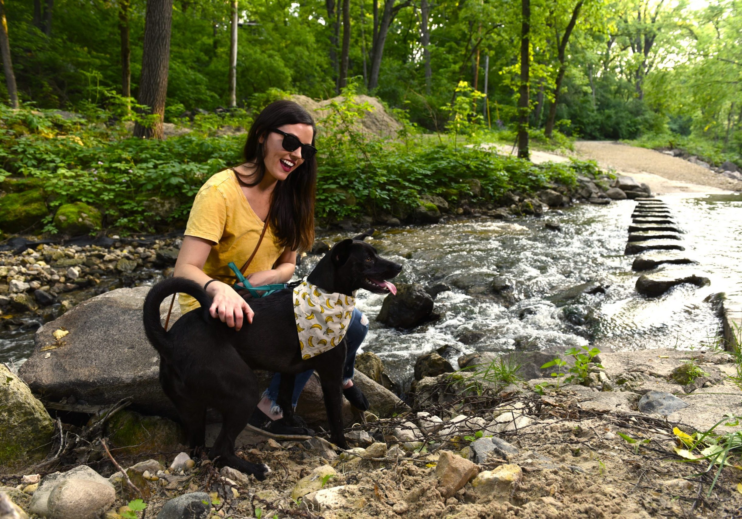 A woman wearing sunglasses and a yellow shirt sits on a rock by a river with her black dog, ready to travel with dog in style. Trees and stepping stones surround them, making it the perfect day out near Middleton.