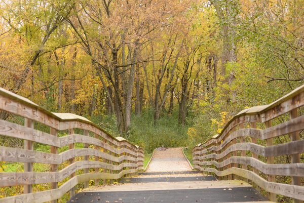 A wooden bridge in a wooded area.