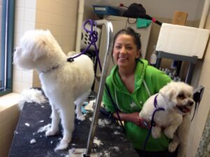 a woman in a green shirt holding two small dogs