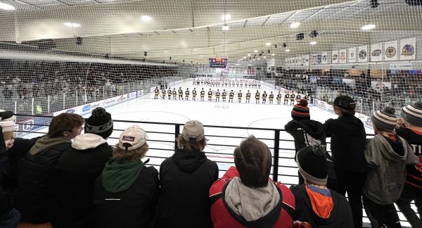 a group of people watching a hockey game.